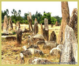 The main group of stone stelae at Tiya world heritage site, Ethiopia